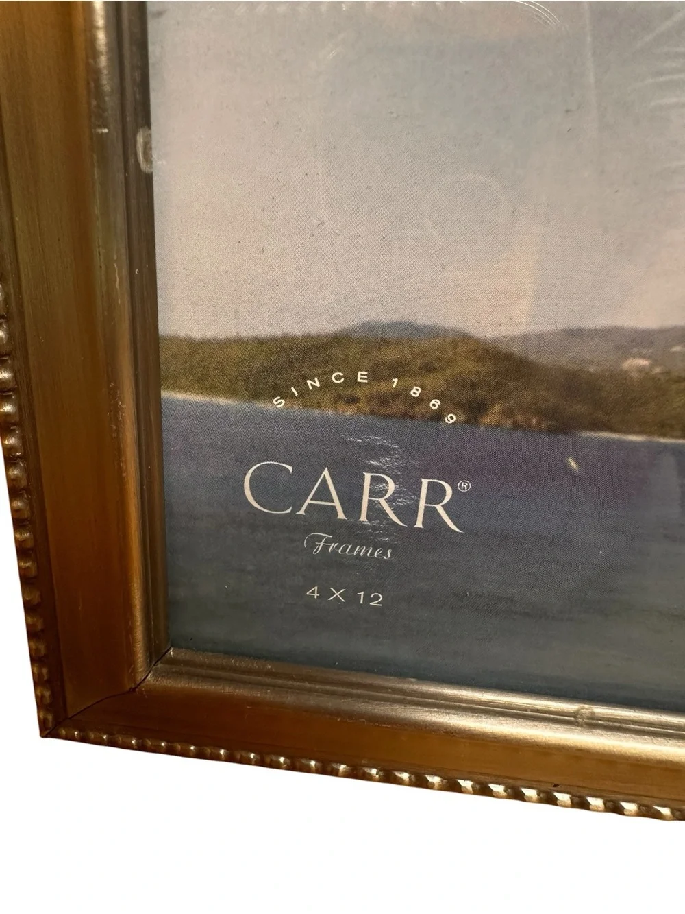 Carr 4x12 Panoramic Picture Silver Tone Photo Frame Tabletop Opening Vintage
